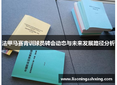 法甲马赛青训球员转会动态与未来发展路径分析