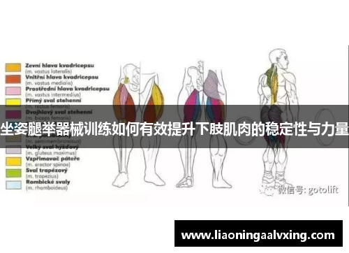 坐姿腿举器械训练如何有效提升下肢肌肉的稳定性与力量