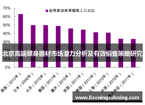 北京高端健身器材市场潜力分析及有效销售策略研究