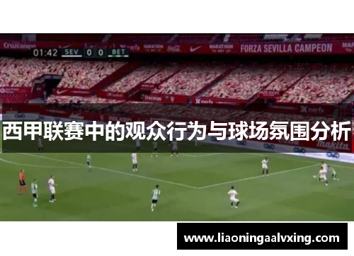 西甲联赛中的观众行为与球场氛围分析